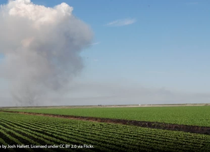 Brazilian ethanol could displace 13.7% of global crude oil, cutting CO2 emissions 