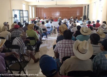 US DDGS producers get good news from southeastern Mexico