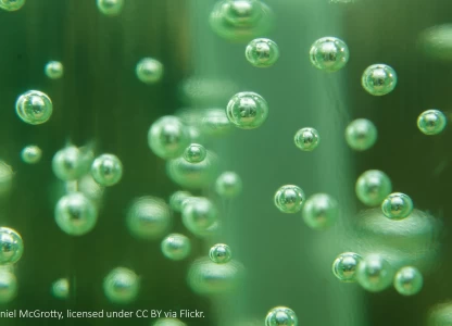 Ethanol demand in Malaysia jumps on coronavirus fear
