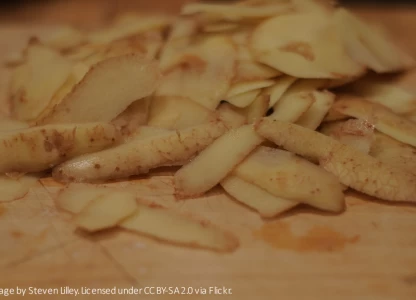 US researchers develop new method to turn potato waste into ethanol