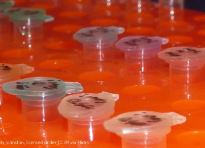 China New Energy expects limited fin impact from Coronavirus