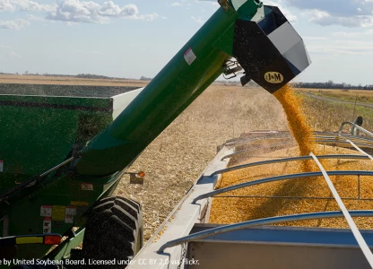Green Plains reports improved Q3 results, sees stronger Q4
