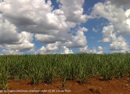 Tereos agrees to buy out Brazilian sugar and ethanol business