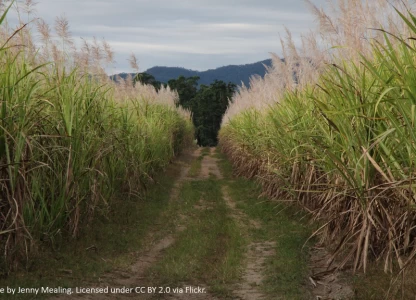 Zimbabwe to increase ethanol storage capacity in Oct - report