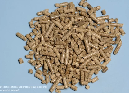 US studies highlight opportunity for pellets from ethanol crop residues 