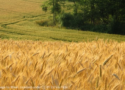 EC proposes to reduce food-based biofuels
