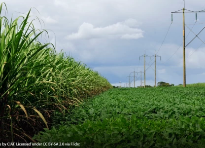 Colombia raises ethanol mandate to 10% 