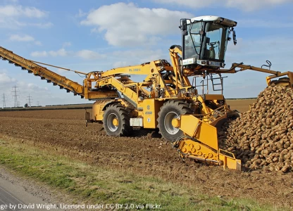 EU conventional ethanol phase-out to hit farmers, industry groups warn