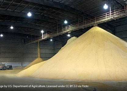 China to end VAT on imports of DDGS  