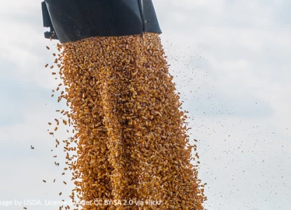 Argentina plans to more than double ethanol blend - report