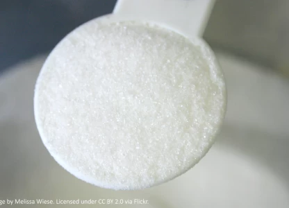 Top Asian sugar producer to increase ethanol output amid expansion