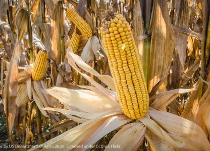 US EPA proposes to keep 2018 ethanol quota at 15 bn gallons