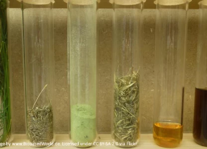 Biorefinery tech market to jump to USD 714.6bn in 2021 – BCC