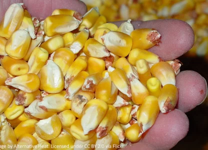 Edeniq raises USD 7m to drive cellulosic tech growth
