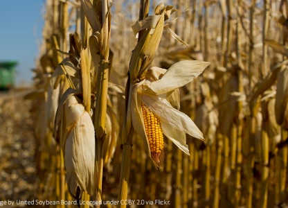 Poet breaks ground on ethanol plant expansion in Ohio