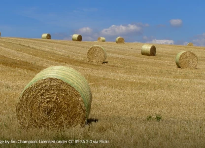 Estonian firm plans EUR-150m bioethanol plant in Latvia 