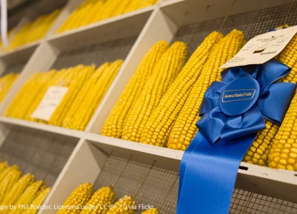 Iowa approves funding for blender pump programme