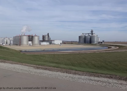 Ethanol producers move to diversify 