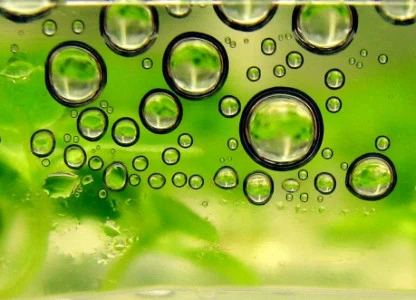 US EPA sets higher than planned 2016 biofuels use requirement
