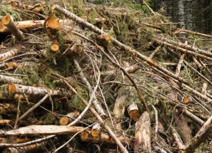 Bioethanol plant worth EUR 136m planned for Komi, Russia