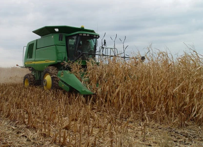 Raizen makes cheapest cellulosic ethanol, feedstock is key - study