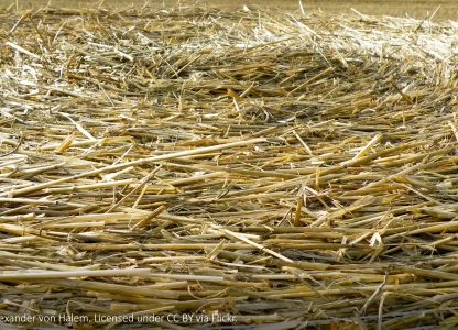 ORLEN Poludnie to build bioethanol plant in Poland