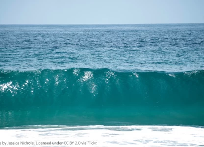 Scientists show seawater use in bioethanol making is an option