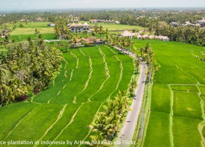 US DDGS exports to Vietnam, S Korea and Indonesia grow in June 2019