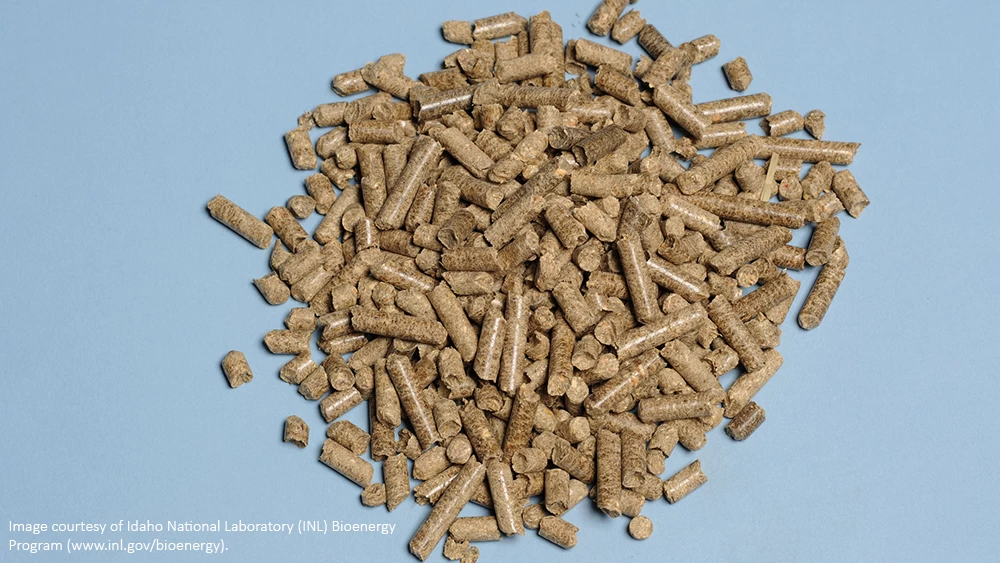US studies highlight opportunity for pellets from ethanol crop residues 