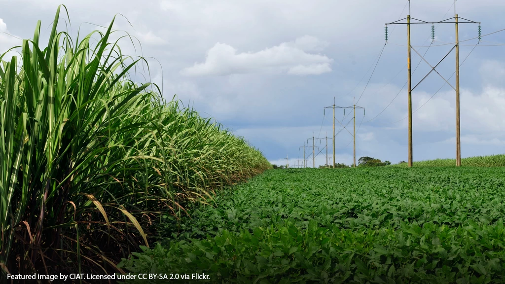Colombia raises ethanol mandate to 10% 