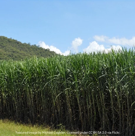 Fully-integrated bioethanol plant to produce 344 million litres/yr in Australia