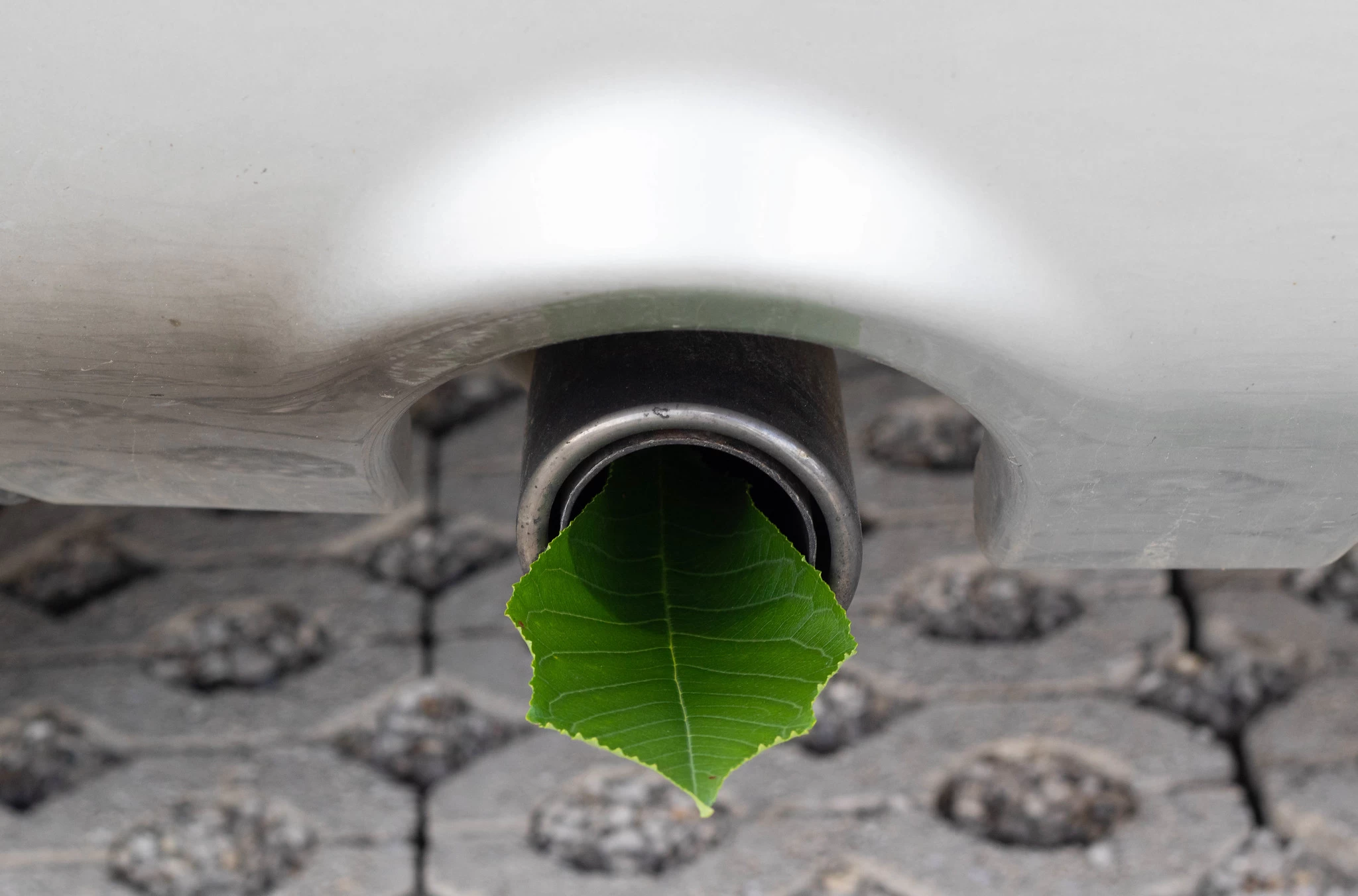 Hybrids with ethanol present a compelling case for decarbonisation