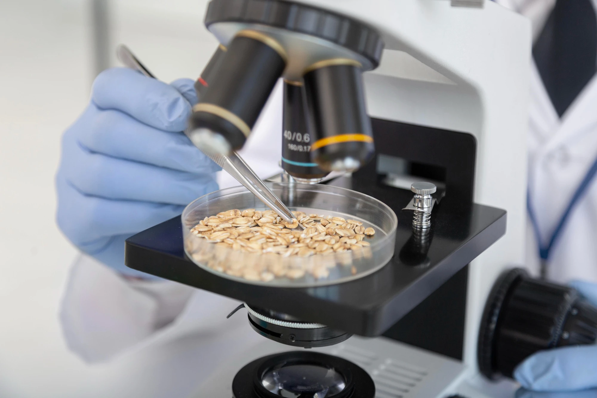 Mycotoxins in Grain and DDGS: Risks and Solutions